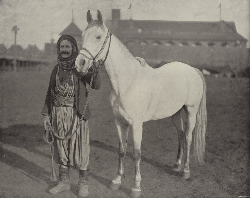 Beduinprisene Steed av American Photographer