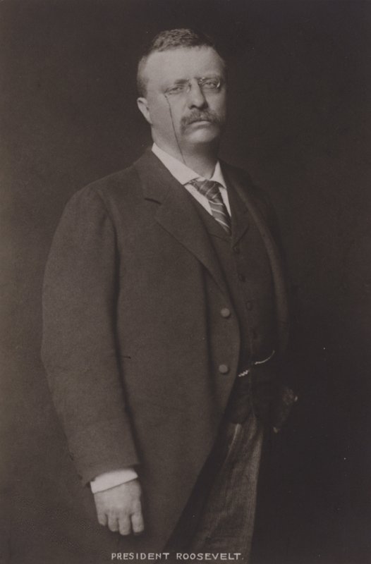 Theodore Roosevelt, 26. president i USA, 1904 av American Photographer