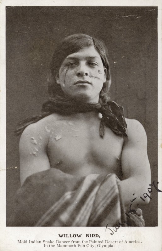 Pilefugl - Moki indisk slangedanser fra den malte ørkenen i Amerika (s/h-bilde) av American Photographer