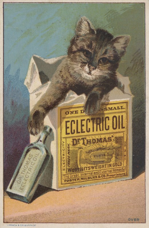 Annonse for Dr Thomas" Eclectric Oil av American School