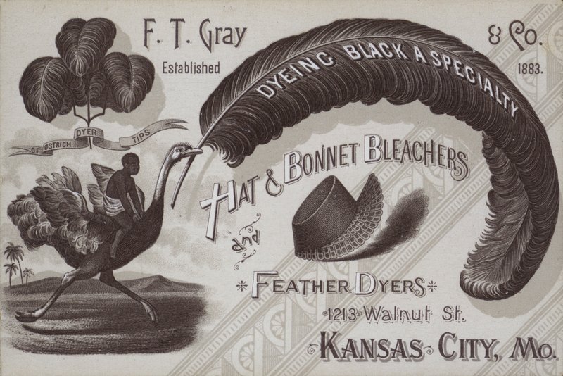 Annonse for FT Grey, hatte- og panser- og fjærfarger, Kansas City, Missouri, USA (litho) av American School