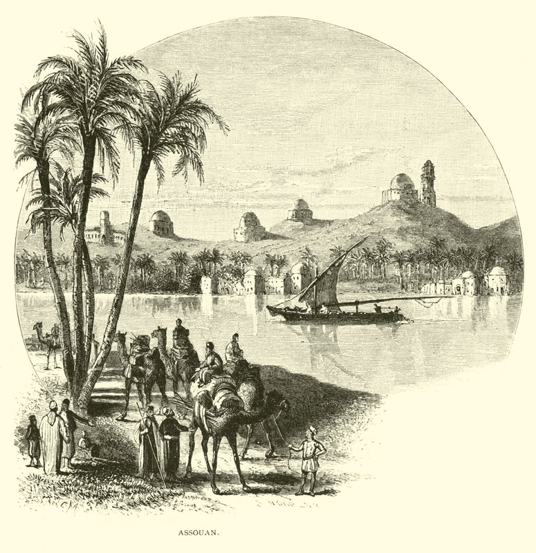 Aswan av American School
