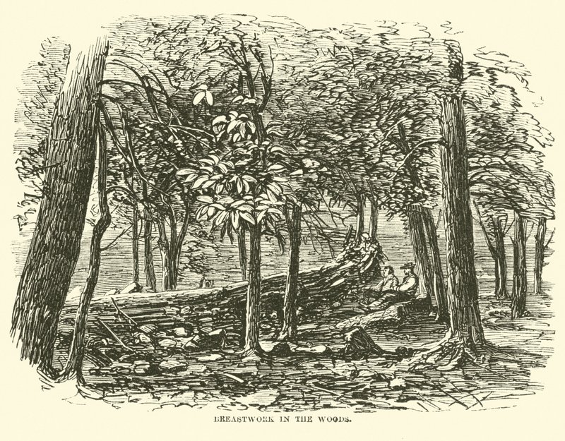 Brystarbeid i skogen, juli 1863 av American School