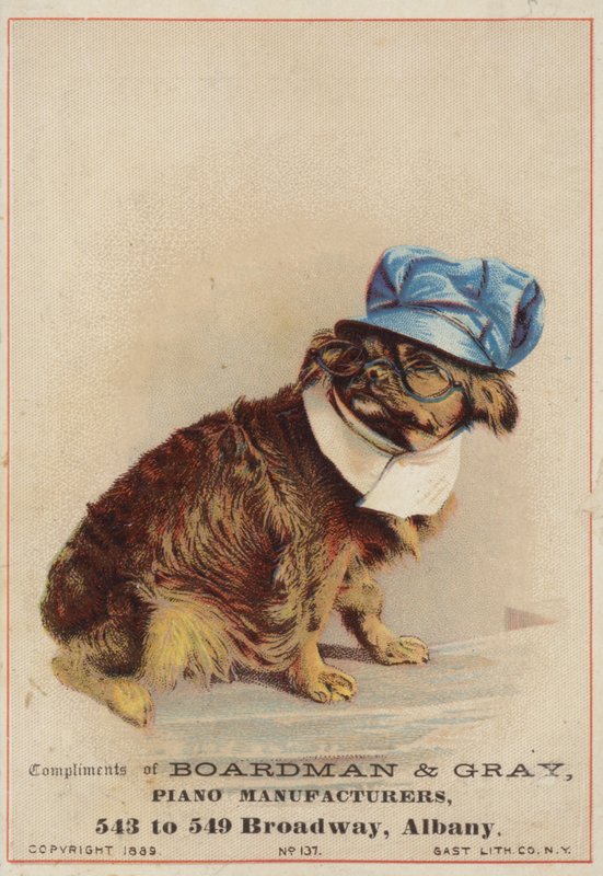 Brun hund med hatt og briller av American School