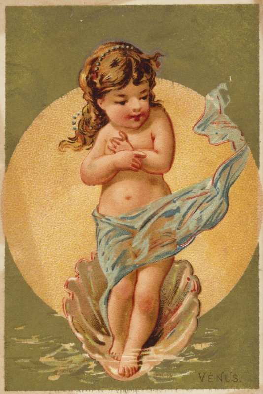 Barnet Venus av American School