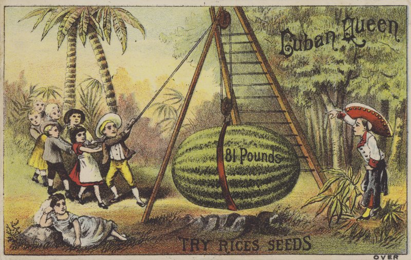 Barn som oppdrar en enorm vannmelon (chromolitho) av American School