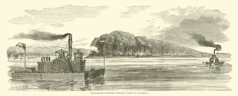 Konføderert transport som brakte storfe til Vicksburg, februar 1863 av American School