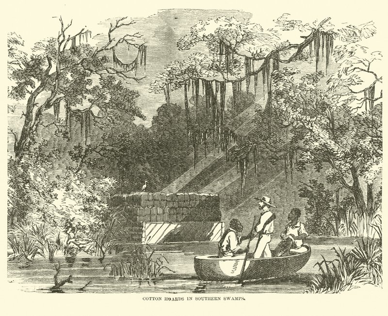 Bomullsskatter i Southern Swamps, juli 1862 av American School