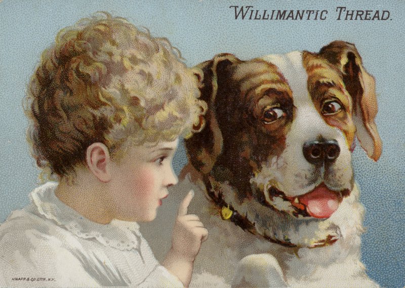 Hund og småbarn av American School