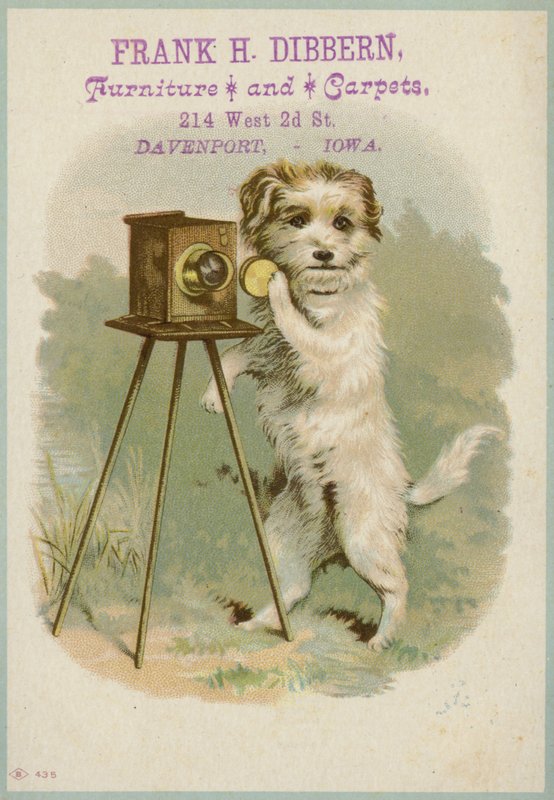 Hund med kamera av American School