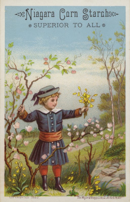 Jente som holder en haug med blomster på landsbygda av American School