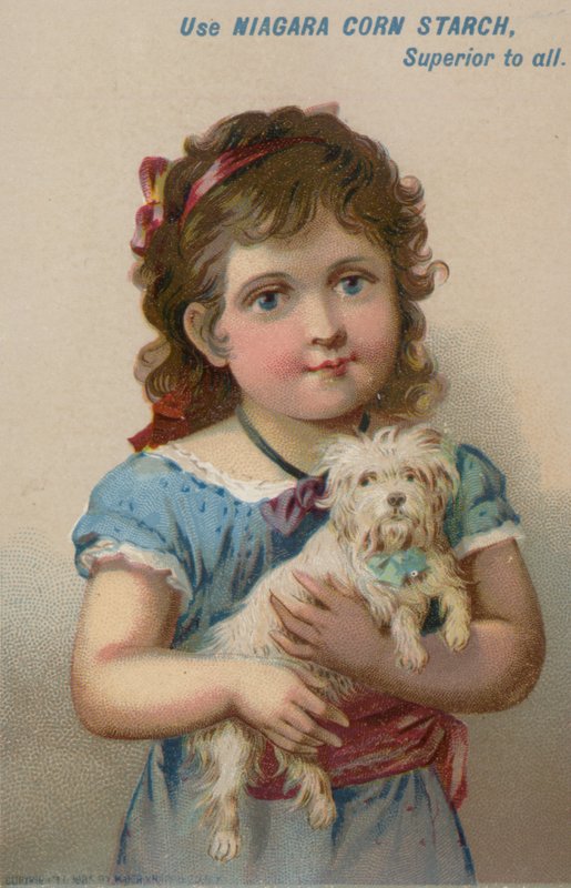 Jente som holder en liten hund i armene av American School