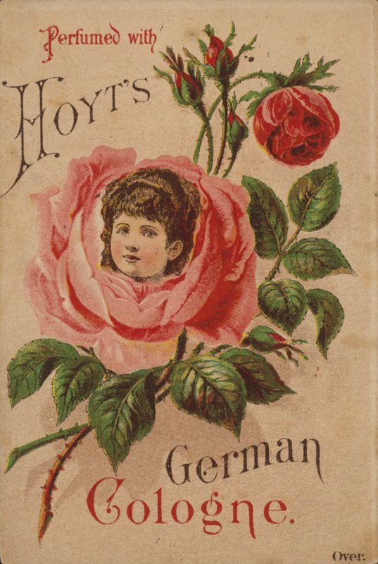Hoyts tyske Köln av American School
