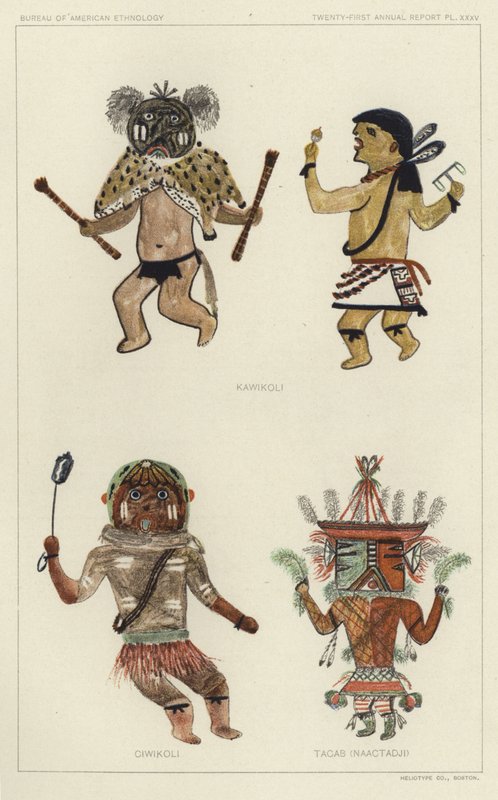 Kawikoli, Ciwikoli, Tacab (Naactadji) (litho farge) av American School