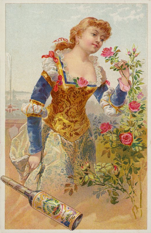 Lady Smelling Roses av American School
