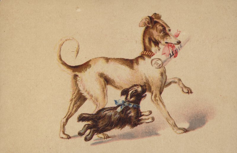 Stor og liten hund som løper av American School