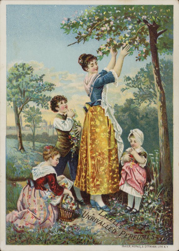 Lazells av American School