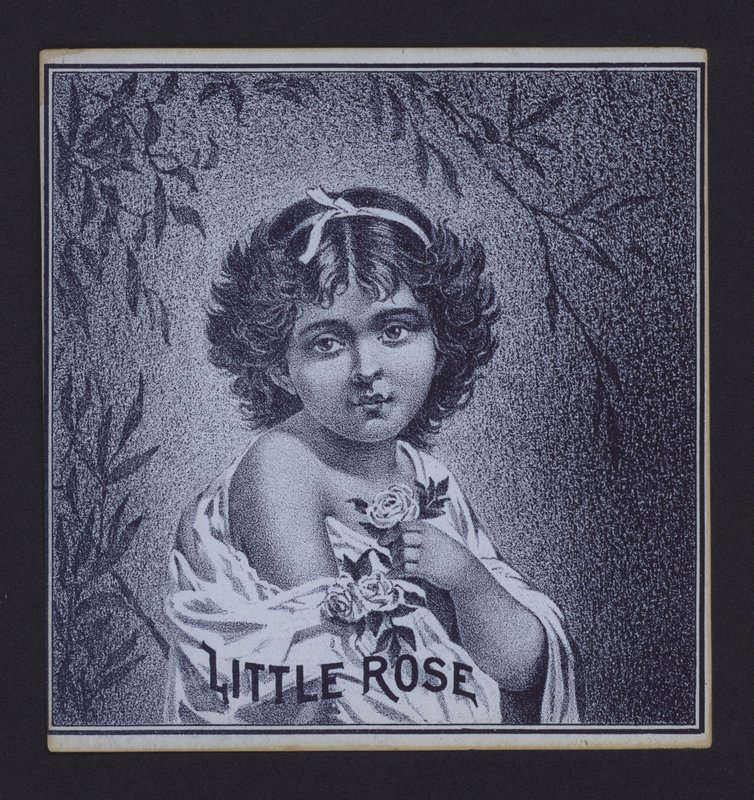 Little Rose, sigaretikett (litho) av American School