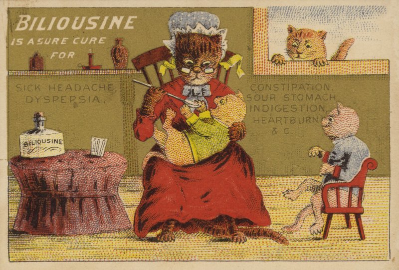 Medisintid for kattene av American School