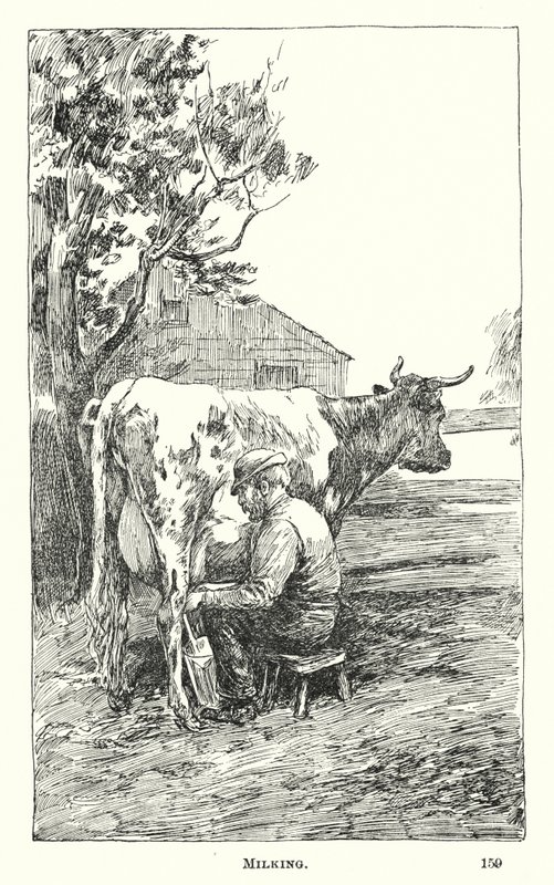 Melking (gravering) av American School
