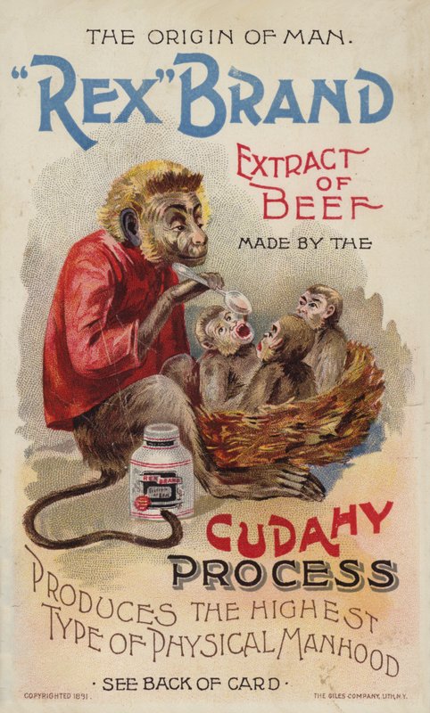 Monkey mater ungene sine! av American School