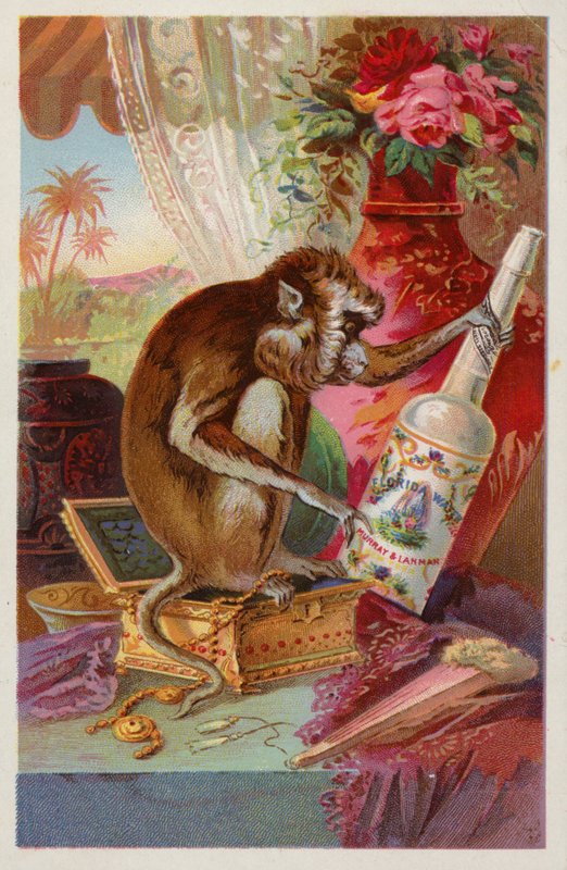Monkey med en flaske av American School