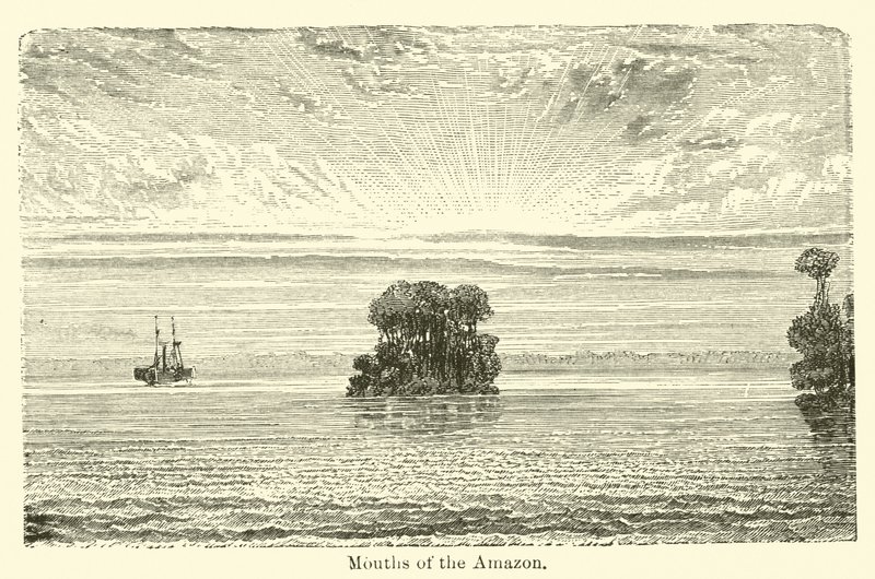 Amazonas munn av American School