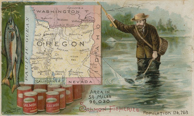 Oregon - Laksefiskeri av American School