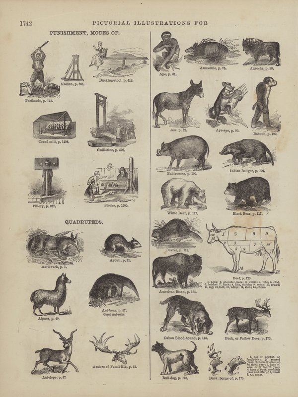 Side fra Websters komplette ordbok (George Bell) av American School