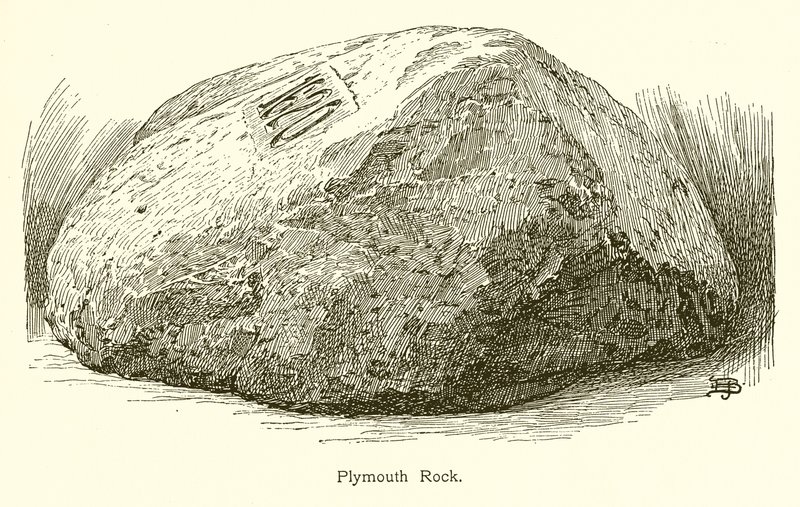 Plymouth Rock av American School