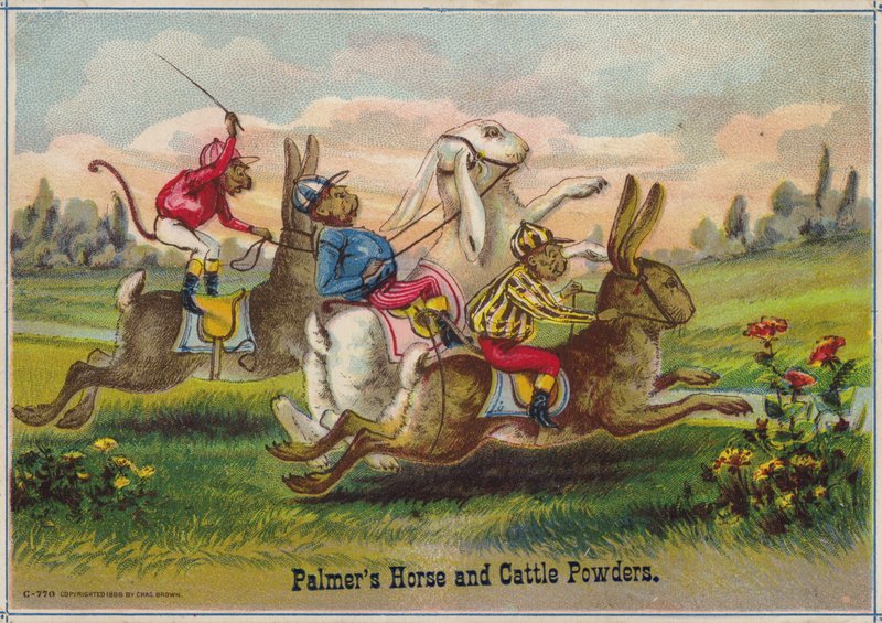 Rabbits Racing av American School
