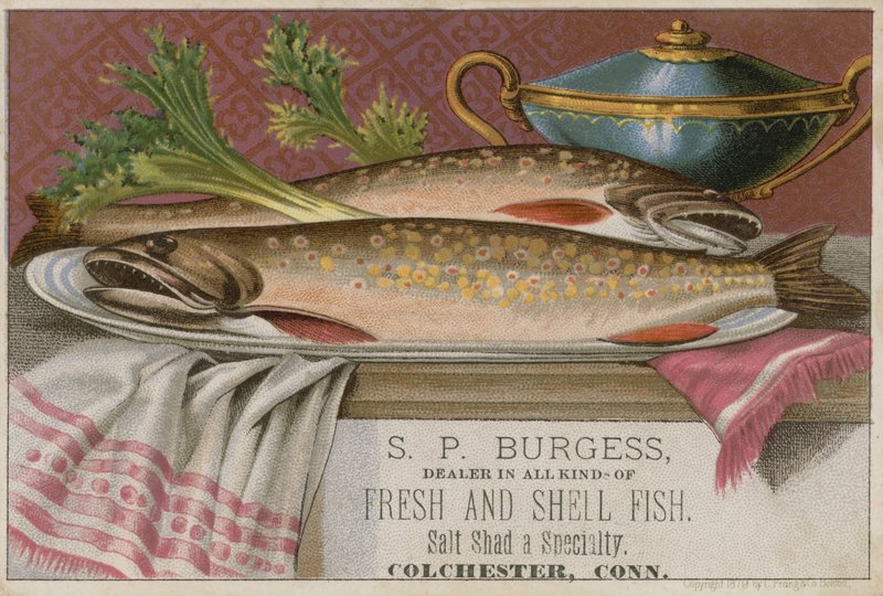 S P Burgess, handelskort av American School