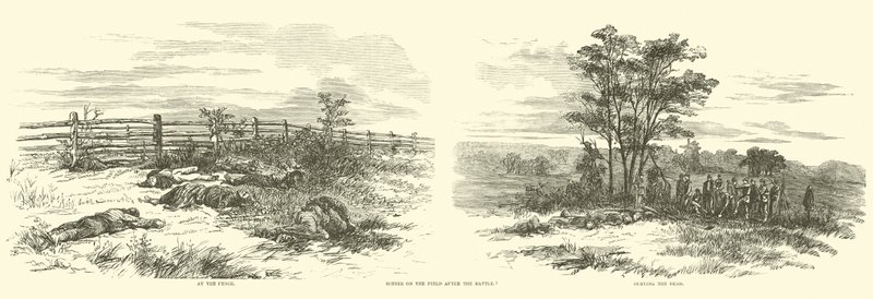 Scener på banen etter slaget, september 1862 av American School