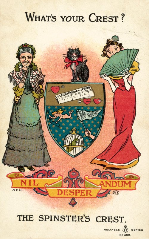 The Spinsters Crest av American School