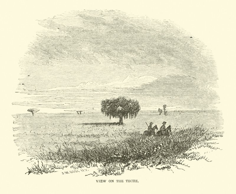 Utsikt på Teche, april 1863 av American School