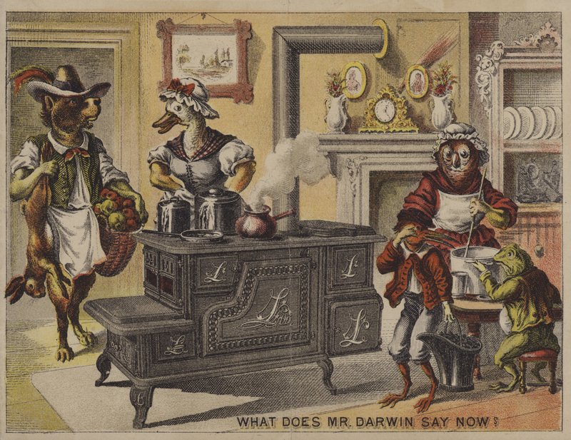 Hva sier Darwin nå? (chromolitho) av American School