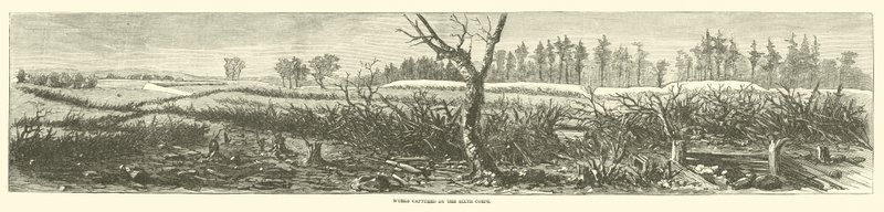 Verk tatt av det sjette korps, april 1865 av American School