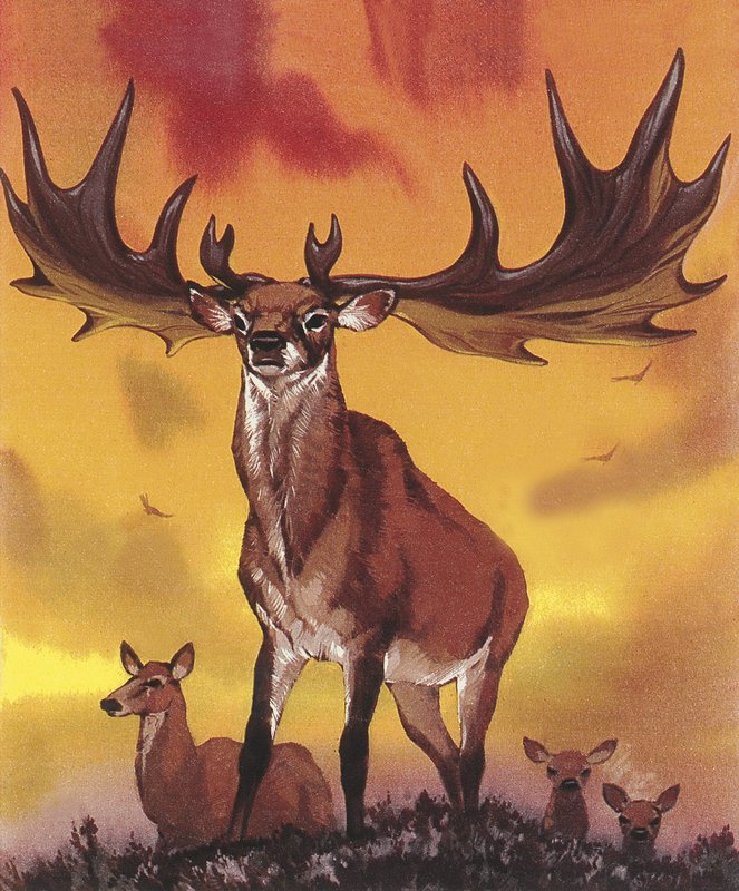 Kjempeelg av Angus McBride