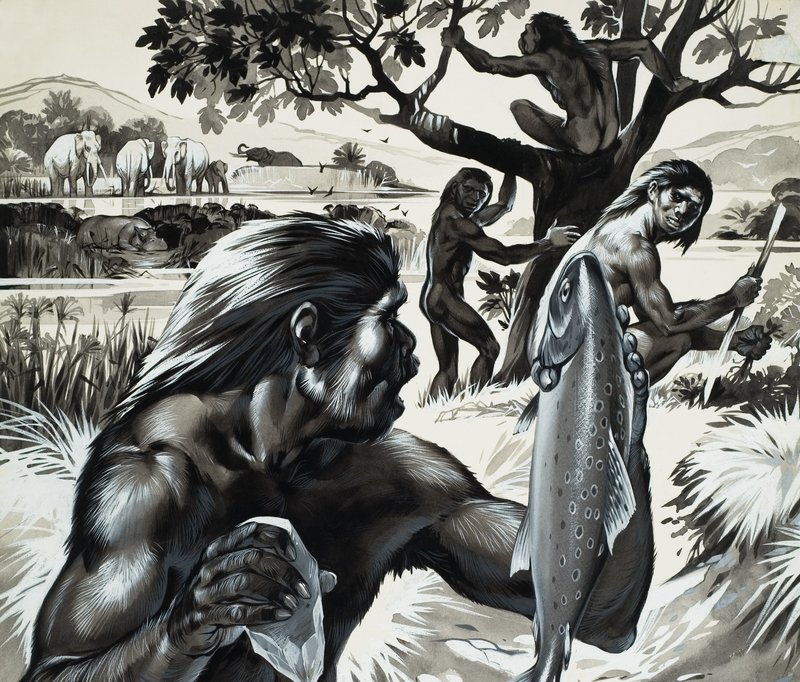Menneskeheten under utvikling (gouache på papir) av Angus McBride