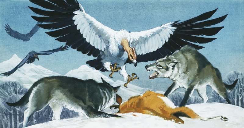 Terator av Angus McBride