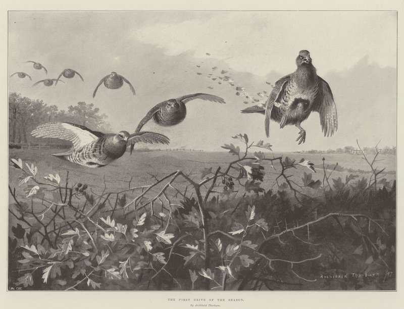 Sesongens første kjøretur av Archibald Thorburn