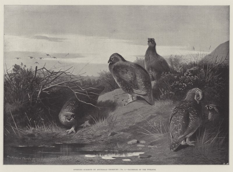 Idrettsfag, Daggry den tolvte av Archibald Thorburn