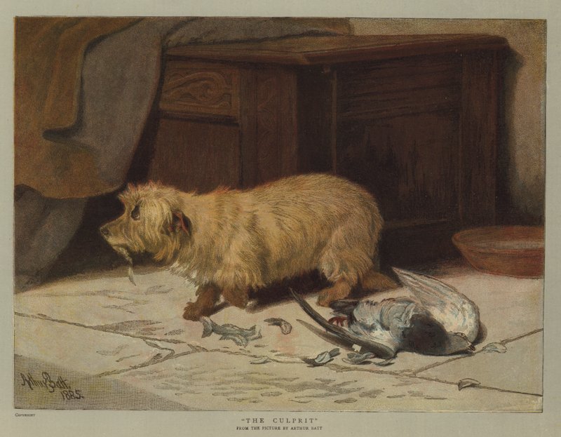 Den skyldige (chromolitho) av Arthur Batt