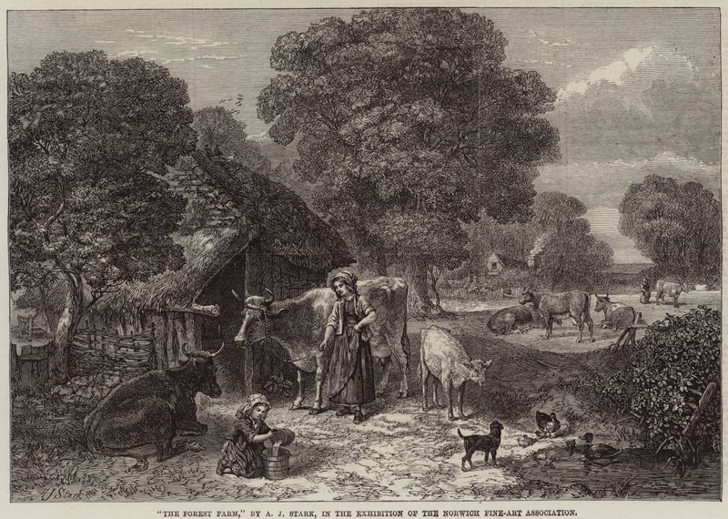 Skoggården av Arthur J. Stark