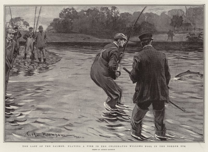 The Last of the Salmon, spiller en fisk i den berømte Willows Pool i Border Esk av Arthur Rackham