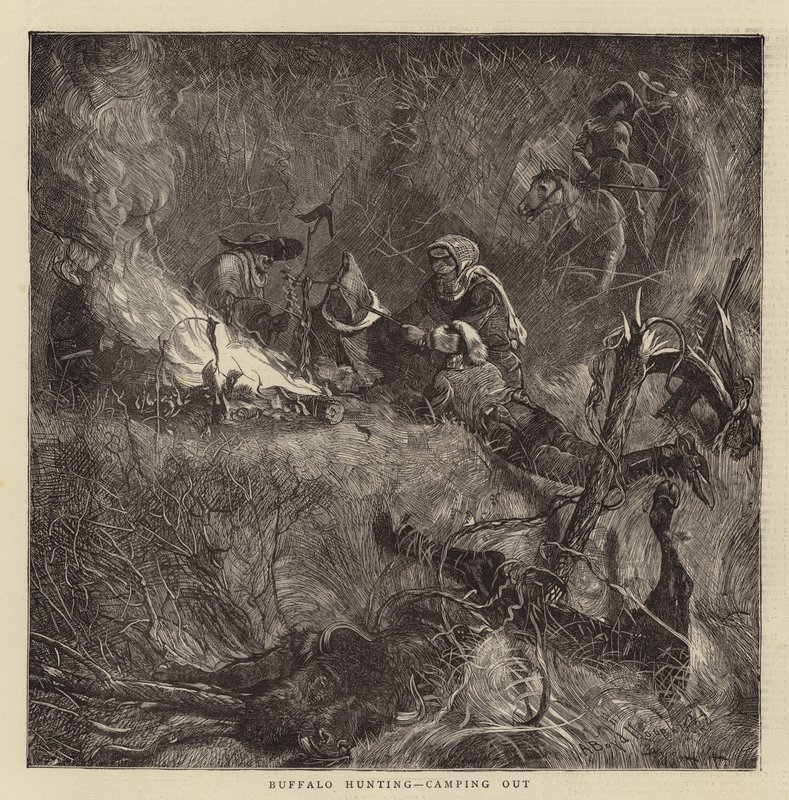 Bøffeljakt, camping ute av Arthur Boyd Houghton