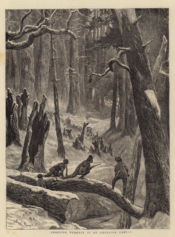 Å skyte kalkuner i en amerikansk skog av Arthur Boyd Houghton