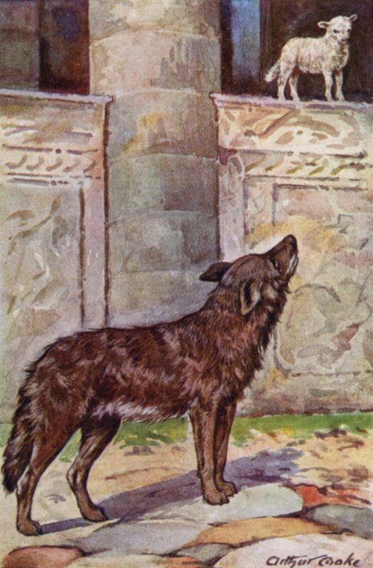 Aesop