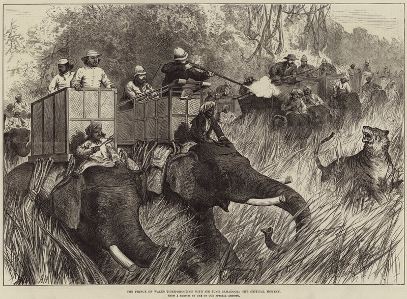 Prinsen av Wales Tiger-skyting med Sir Jung Bahadoor, det kritiske øyeblikket av Arthur Hopkins