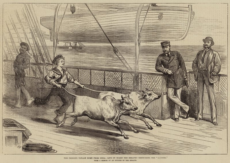Prinsens reise hjem fra India, livet om bord på Serapis, trener Gainees av Arthur Hopkins
